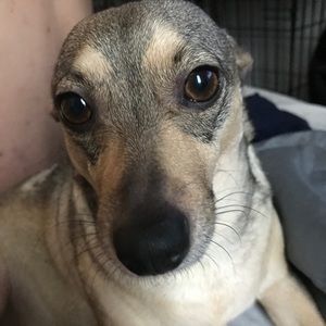 Meet your Posher, Christopher